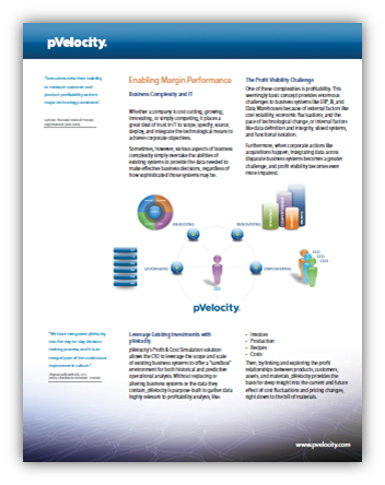 pVelocity CIO Perspective PDF