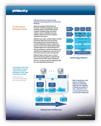 pVelocity IT Information PDF