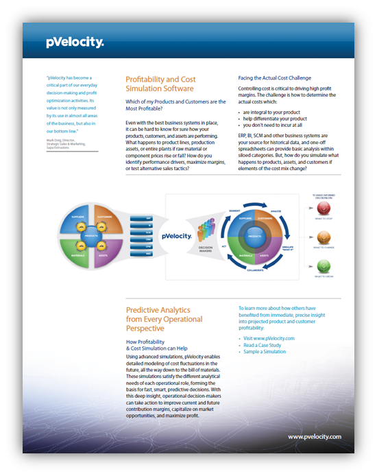 pVelocity Solution Overview PDF